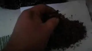 Табак рекомендую для посадки.
