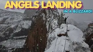 Angels Landing In The Snow!!!