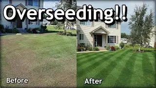 How To OVERSEED Your Lawn in SPRING // Complete Step by Step Guide
