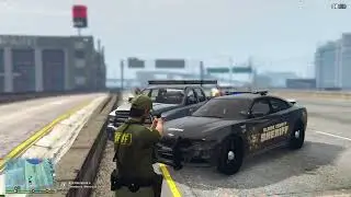 I Became A SHERIFF In LSPDFR!