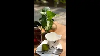 Morning Vibes with Honey lemon water