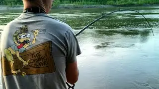 HIGH Water SPRING Flathead CATFISH