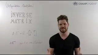 Matrix invertieren (Adjunkten-Verfahren)
