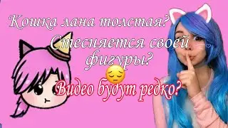 КОШКА ЛАНА ТОЛСТАЯ? КОШКЕ ЛАНЕ НЕ НРАВИТСЯ ЕЁ ФИГУРА? ВИДЕО БУДУТ РЕДКО?