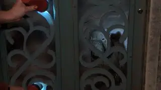 The Legend of Stiffy Green - a piece of Terre Haute's haunted history