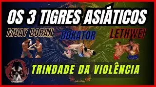 The 3 Asian TIGERS Muay Boran, Bokator and Lethwei