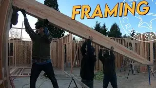 OSB vs Plywood: Is there even a debate?