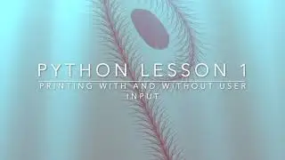 Python lesson 1-Python print feature