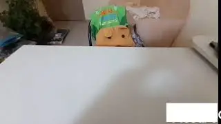 Викторина с вопросами часть 1