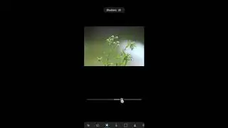 Who to edit photo with #LightRoom & #Snapseed.....  #Natural_Photographs.            Please Support