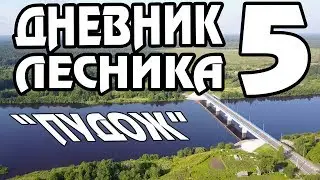 Дневник Лесника 5 - (Карелия, комары, дожди, работа)