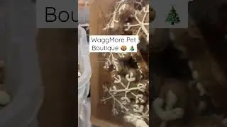 Dog treat headquarters!