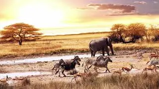Busta 929 & Mpura - Umsebenzi Wethu [ feat. Zuma, Mr JazziQ, Lady Du & Reece Madlisa ]