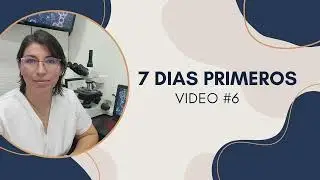 #6 PRIMEROS 7 DIAS