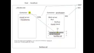 MySQL Database in Docker