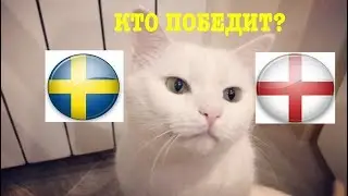 Англия vs Швеция - КТО ПОБЕДИТ - прогноз кота Бонифация ЧМ 2018