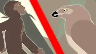 Australopithecus (ape) VS Haast's Eagle