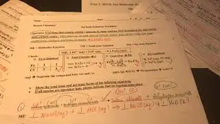 Net Ionic Equation (2/2)