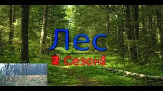2 Cезон Мини Vloga Поход в Леc №3 Что то белое