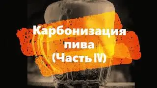Карбонизация пива в домашних условиях
