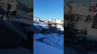 С наступающим Старым новым годом 🌲🪗🪗🪗🪗🪗
