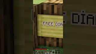 Wtf moment #shorts  #minecraft