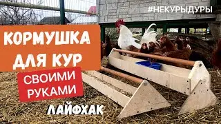 DIY chicken feeder. Chicken life hack.