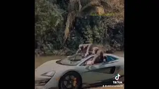 Прикол мартышки