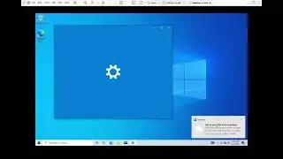 How to fix Network Connectivity issue in Windows 10 Virtual Machine hosted on VMware? 
