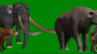 Prehistoric Animal Stampede Green Screen for 