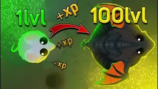 КАК БЫСТРО ПРОКАЧИВАТЬСЯ В НОВОМ ОБНОВЛЕНИЕ MOPE.IO!!?