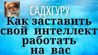 Садхгуру - Как заставить свой интеллект работать на вас.