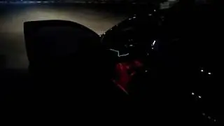 Коврики EVA + Холодный неон в Ford Focus 2