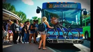 What Taking the Bus Has to Do With Enlightenment & Personal Growth