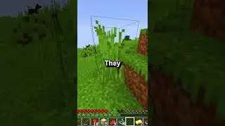 I HATE The AUTOCRAFTER
