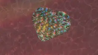 Smallpools - Photograph (Official Visualizer)