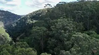 Lapstone 04 2024. View Along Glenbrook River Gorge