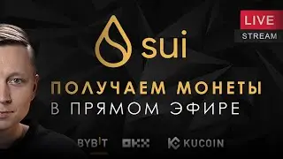 SUI. Сколько удалось заработать на листинге? Токенсейл SUI.