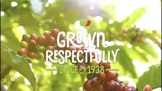 NESCAFÉ Plan in Vietnam