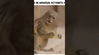 Надо оставить на потом 😅