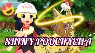 SHINY POOCHYENA *1517 eggs using masuda method  #shinyhunting #brilliantdiamond