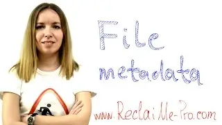 File Metadata