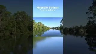 Random Town #3 | Magnolia Springs