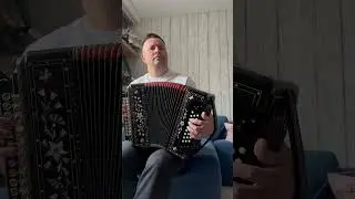 Забрала подруга друга, учу слова #гармонь