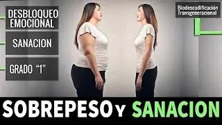SOBREPESO (grado 1) Y Obesidad, Desbloqueo Emocional Sanación y Biodescodificación Transgeneracional