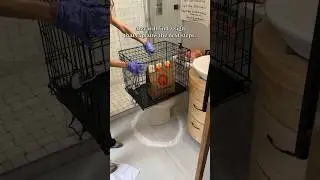 My new food delivery process