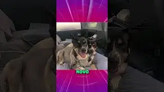 FOTOS QUE VOCÊ TEM QUE OLHAR DUAS VEZES PRA ENTENDER 