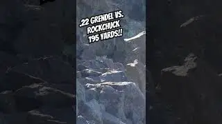 195 yard shot using an AR in #22Grendel (#22ARC) on a Rockchuck! That 55GR @NoslerInc did the job!