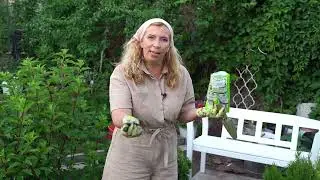 Улучшаем почву в цветнике