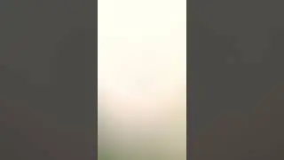 сделала теневого дракона из адопт ми из бумаги(эх надеюсь заметит)